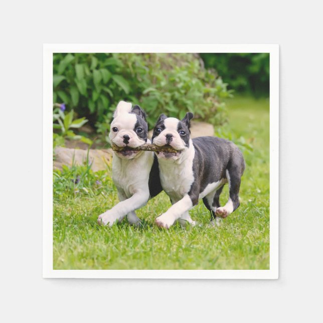 Cute Lustiga Boston Terrier hundar-marionetter - Pappersservett (Framsidan)