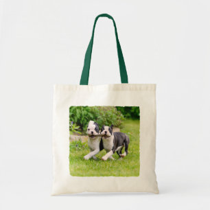 Cute Lustiga Boston Terrier hundar-marionetter - Tygkasse
