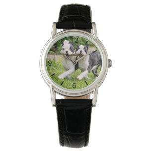 Cute Lustiga Boston Terrier hundar-valpar - W Armbandsur
