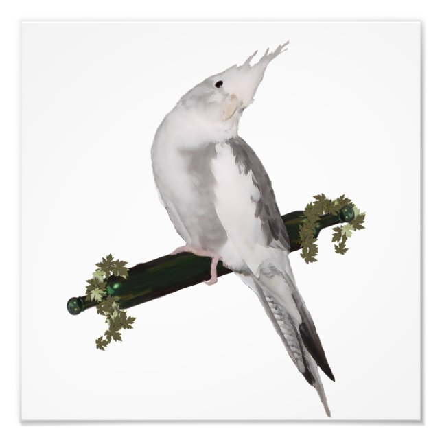 Cute Lutino Cockatiel Bird Ivy Perch Animal Fototryck (Framsidan)