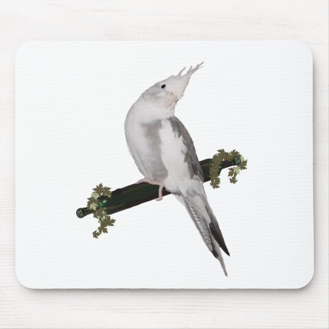 Cute Lutino Cockatiel Bird Ivy Perch Animal Musmatta (Framsidan)