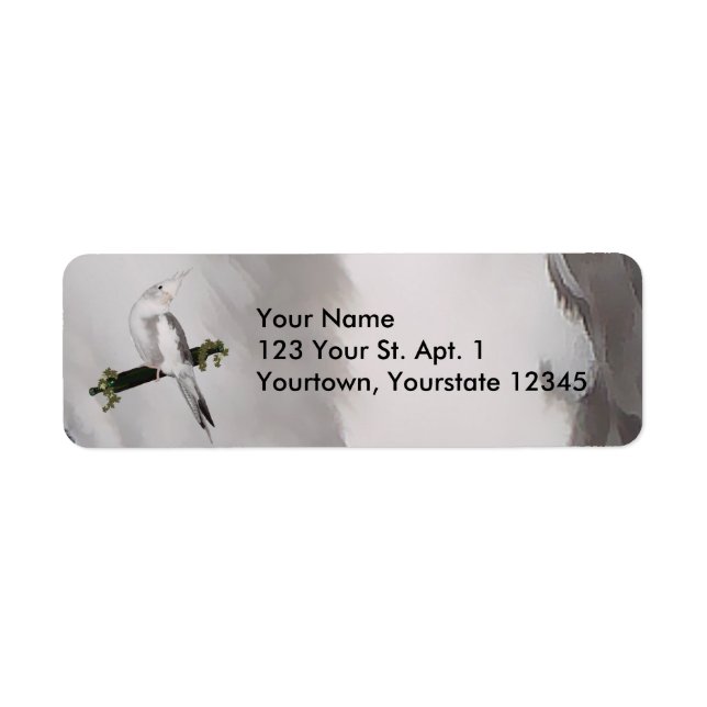 Cute Lutino Cockatiel Bird Ivy Perch Animal Returadress Etikett (Framsidan)