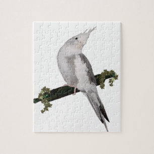 Cute Lutino Cockatiel Bird Ivy Perch Pussel