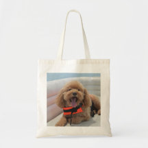 Cute Lycklig Cockapoo-Hund på båtsjö - fotografi