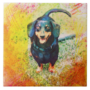 Cute Lycklig Dachshund Hund Head Ansikte Kakelplatta