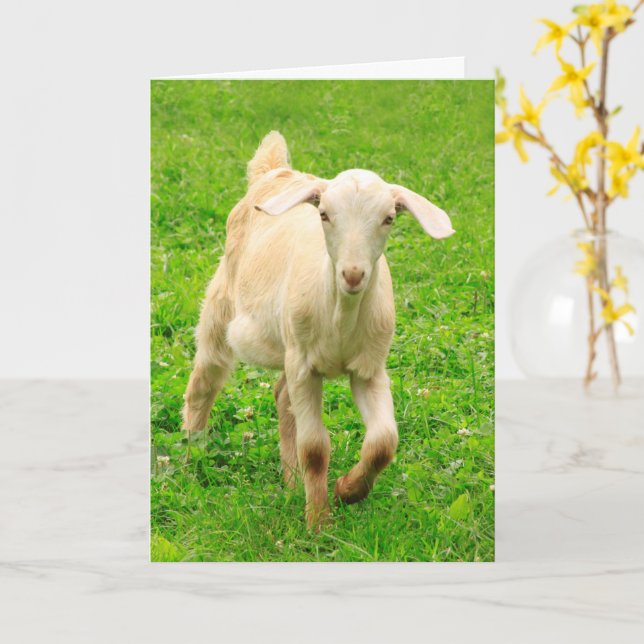 Cute Lycklig Little Goat Birthday Kort (Gul blomma)
