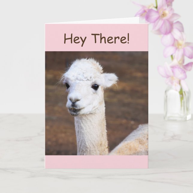 Cute Lycklig Llama-födelsedagskort Kort (Orkide)