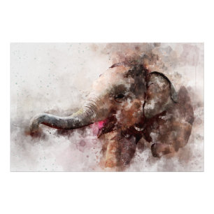 Cute, Lycklig och Spetsisk elefant i Baby Fototryck