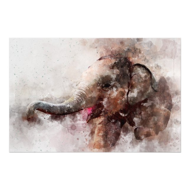 Cute, Lycklig och Spetsisk elefant i Baby Fototryck (Framsidan)