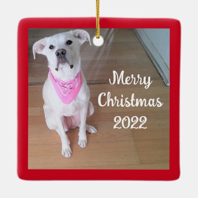 Cute Lycklig Puppy Hund med Rosa Scarf Square Red Julgransprydnad Keramik (Baksida)