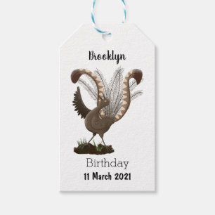 Cute lycklig superb lyrebird tecknad illustration presentetikett