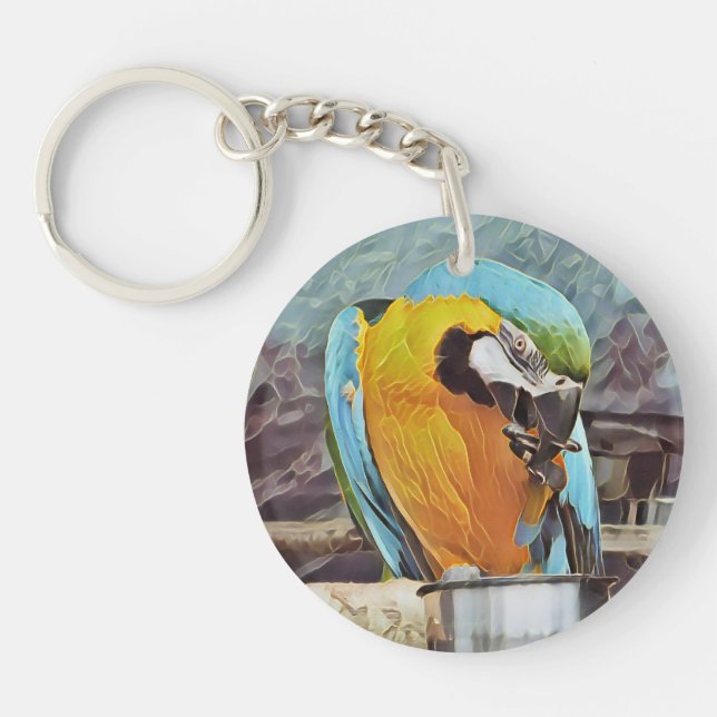 CUTE MACAW (Framsidan)