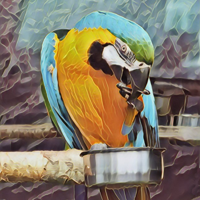 CUTE MACAW CANVASTRYCK (An art design of a cute macaw.)