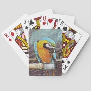 CUTE MACAW CASINOKORT