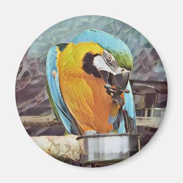 CUTE MACAW MAGNET (Framsidan)