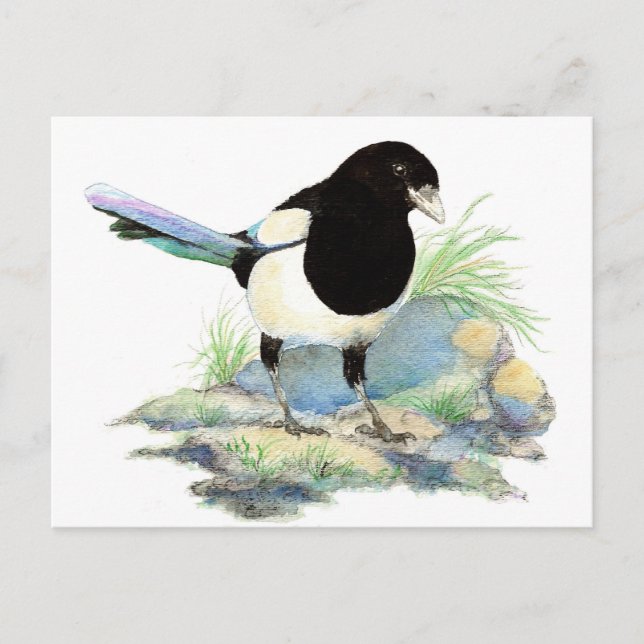 Cute Magpie  - Watercolor Bird Vykort (Framsida)