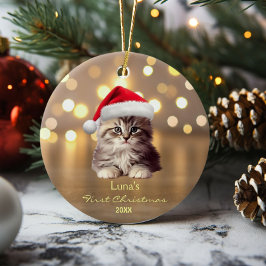 Cute Maine Coon Cat Santa Hat Guld Personlig Julgransprydnad Keramik