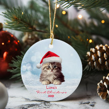Cute Maine Coon Cat Santa Hat Snö Personlig