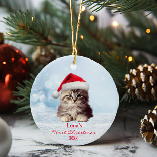 Cute Maine Coon Cat Santa Hat Snö Personlig Julgransprydnad Keramik