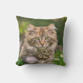 Cute Maine Coon Kitten Cat Flowers - för Utsidan Utomhuskudde