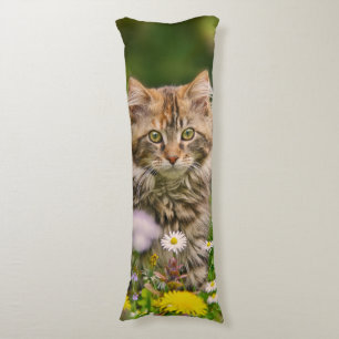 Cute Maine Coon Kitten Cat in Flower Meadow cudly Kroppskudde