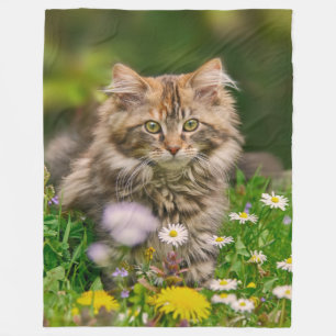 Cute Maine Coon Kitten Cat in Flower Meadow - Fleecefilt