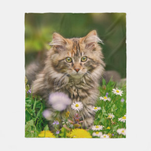 Cute Maine Coon Kitten Cat in Flower Meadow - mysi Fleecefilt