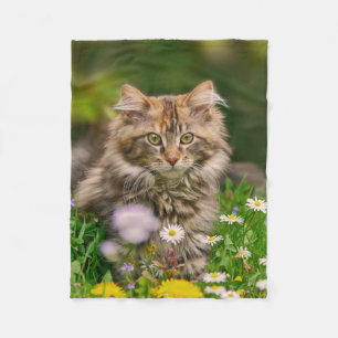 Cute Maine Coon Kitten Cat in Flowers Fleecefilt