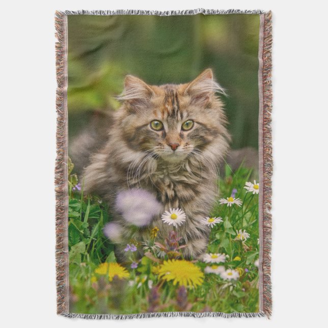 Cute Maine Coon Kitten Cat Sitta i Flowers Filt (Framsidan Vertikal)