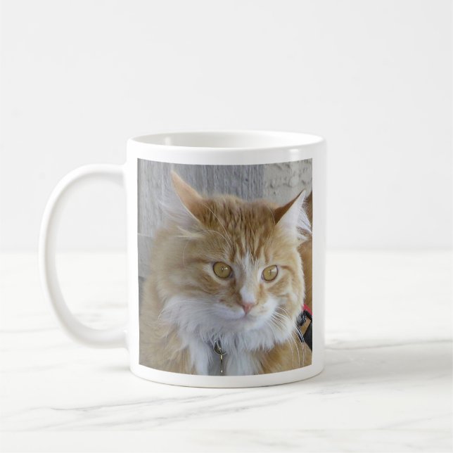 Cute Maine Coon Kitten Close-Up Photograph Kaffemugg (Vänster)