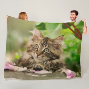Cute Maine Coon Kitten i en Garden Fleecefilt