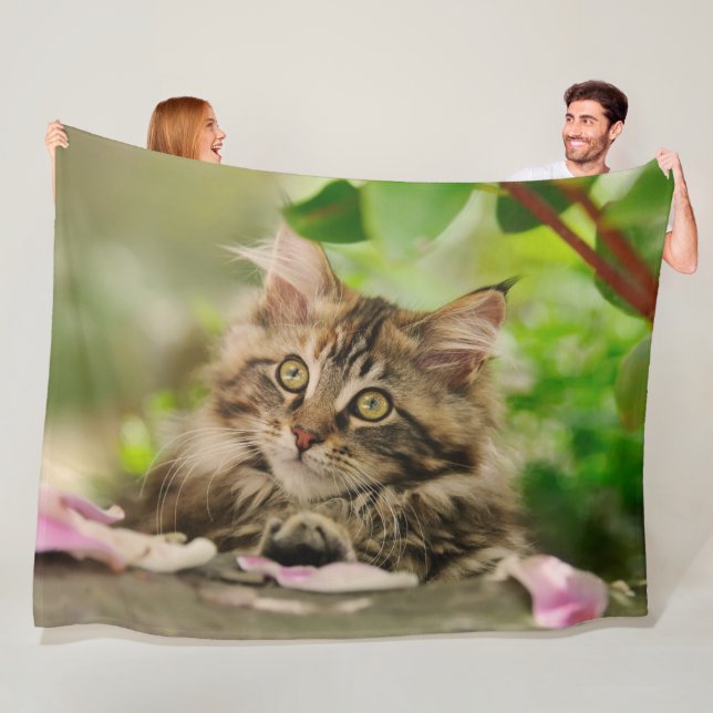 Cute Maine Coon Kitten i en Garden Fleecefilt (På plats)