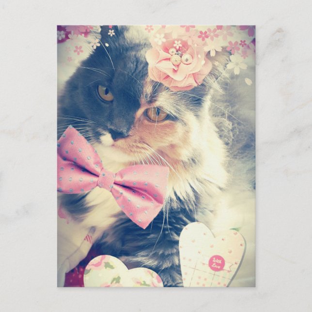 Cute Maine Coon Kitten Retro Stil Vykort (Framsida)