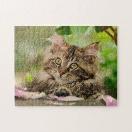 Cute Maine Coon Kitten vilar i en trädgård - Pussel