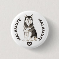 Cute Malamute Hund aveln, vattenfärger