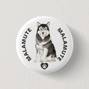 Cute Malamute Hund aveln, vattenfärger Knapp