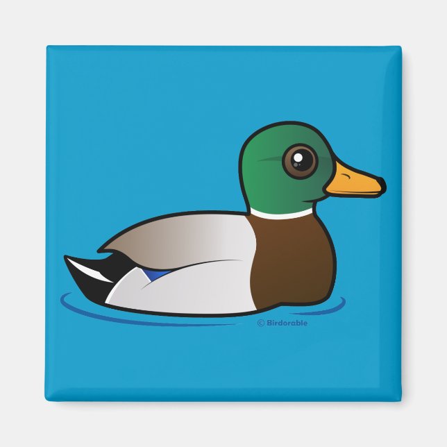 Cute Mallard Male Magnet (Framsidan)