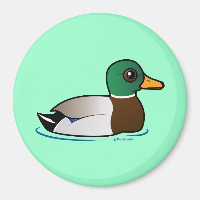 Cute Mallard Male Magnet (Framsidan)