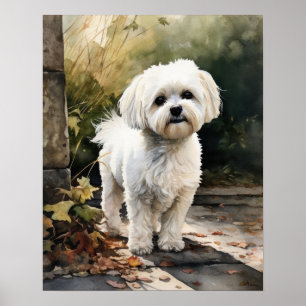 Cute Maltese Hund Art Print Poster