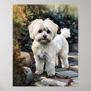 Cute Maltese Hund Art Print Poster