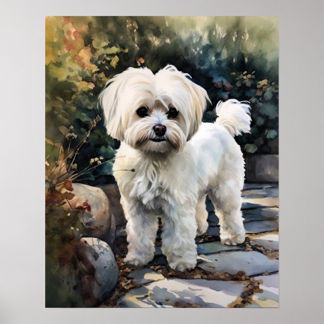 Cute Maltese Hund Art Print Poster (Framsidan)