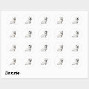 Cute Maltese Hund Puppy Classic Round Stick Runt Klistermärke