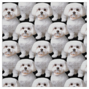 Cute Maltese Hund Tyg