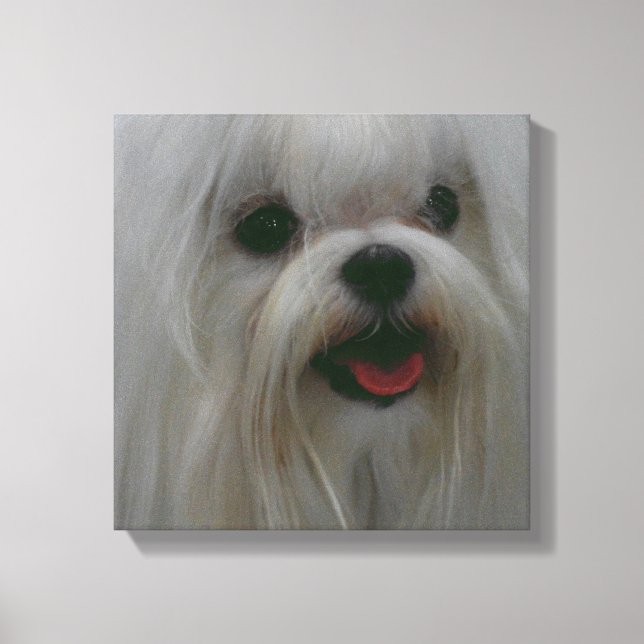 Cute Maltese Kanvastryck (Framsida)