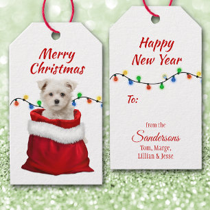 Cute Maltese Puppy in Santa Bag Presentetikett