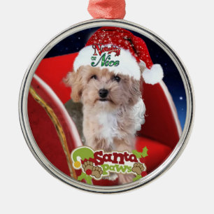 Cute Maltipoo puppy jul Ornament