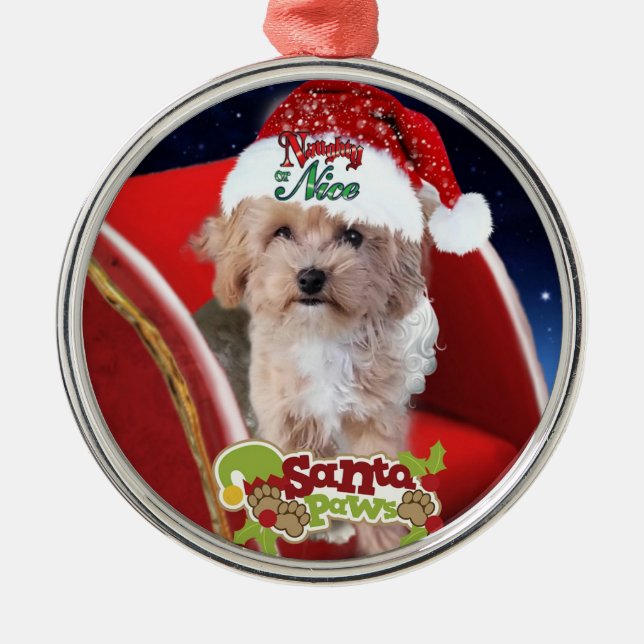 Cute Maltipoo puppy jul Ornament (Framsidan)