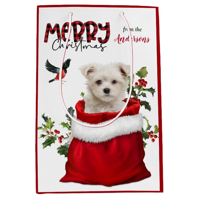 Cute MaltPuppy Hund jul (Framsidan)