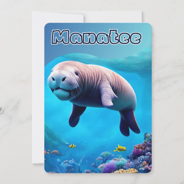 Cute Manatee i djuphavs, Florida, vykort (Framsida)
