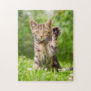 Cute Maneki Neko Cat Kitten Funny Beckoning Pose Pussel